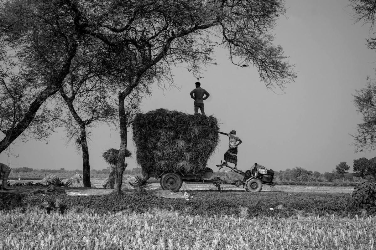4- L’agricoltura non è solo produzione di cibo: è cultura, relazione,&nbsp;rigenerazione