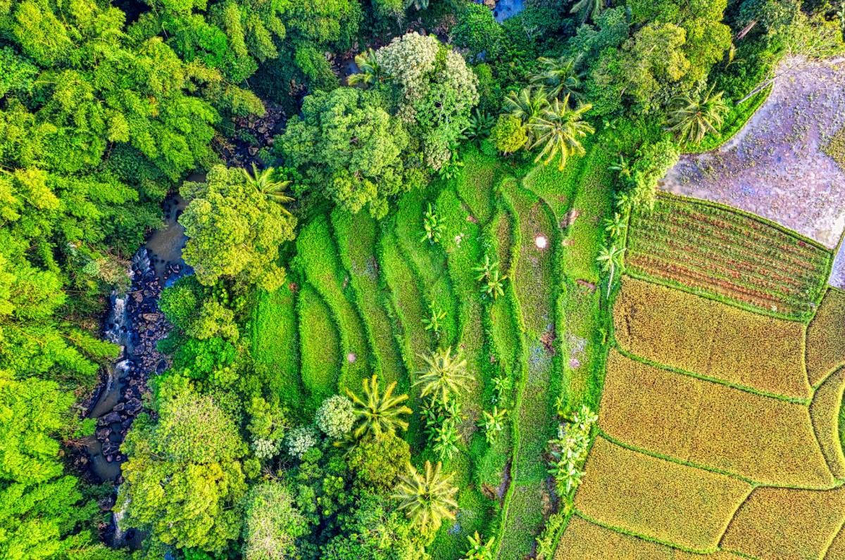 3- Una storia&nbsp;agricola